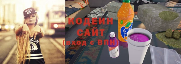 шишки Осинники