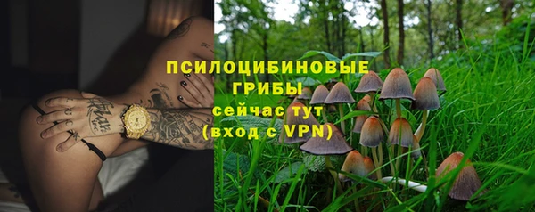 шишки Осинники